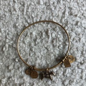 Alex and Ani dog bracelet